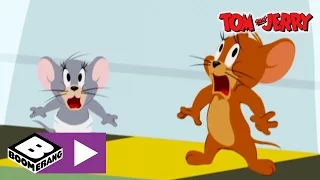 Tom & Jerry | Fight Flight | Boomerang UK