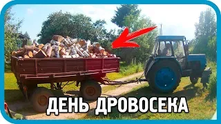 ДЕНЬ ДРОВОСЕКА! ВСЁ "ДОБРО" ПИЛИМ НА ДРОВА!