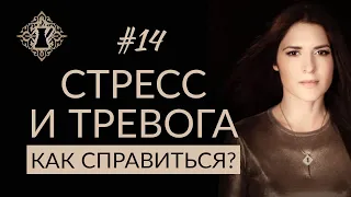 СТРЕСС И ТРЕВОГА. Как справиться? #Адакофе 14