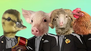 Funny & Duck & Pig & Chicken & Sheep - Coffin Dance Meme ( Cover )