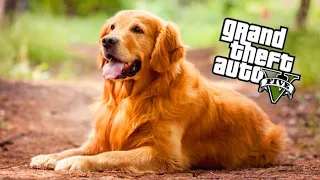 GTA 5 GERÇEK HAYAT !!! - Yeni Köpek Aldık ! 🐶 #9