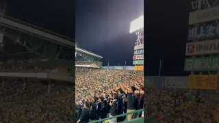 ロッテの応援が甲子園のアウェイでも一体感と迫力がすごい❗2023/06/03