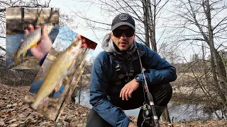 Запрещенная рыба Беларуси. Открытие сезона 2024. Форель, Хариус