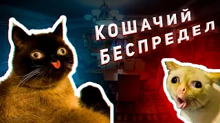 Смешные кошки 2022/приколы/кошачий беспредел/смешные видео с котами