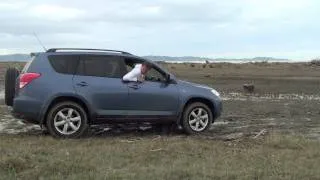 Toyota Rav4 AWD Stuck in the mud!! New Zealand