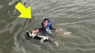 Boy Rescues Strange Dog from River, Regrets It Two Days Later – Then THIS Happens!