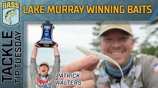 Patrick Walters' most important Blueback Herring baits