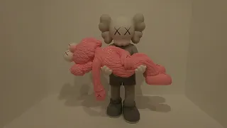 Kaws, "What Party?" ART, Brooklyn Museum, quick video, short video ,  NYC, Medicom, BKm,Gone, Gone