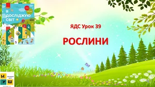 ЯДС 1 клас урок 39 РОСЛИНИ Бібік