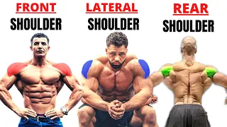 15 BEST SHOULDERS WORKOUT WITH  DUMBELLS AT HOME OR AT GYM