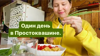 Дачный влог.