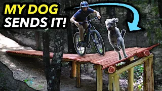 Building an INSANE Banked Drop and Riding it with MY DOG!! // Choose Your Own Trail Pt. 4