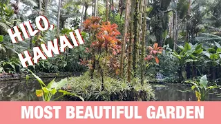 Hawaii Tropical Botanical Garden, Hilo 4K Beautiful Flowers, Waterfalls, Ocean, Koi Pond