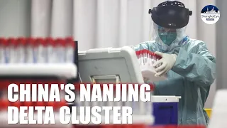 Nine million sealed off? Biggest risk ever? Here's what we know about Nanjing Delta cluster