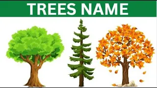 Trees Names | पेड़ों के नाम | Names of Trees in English & Hindi | Names of Trees with pictures