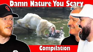 Damn Nature You Scary! REACTION | OFFICE BLOKES REACT!!