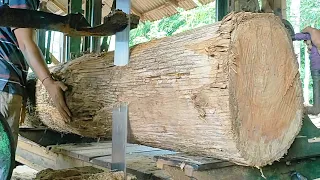 amazing sawmill! teak wood board production process making furniture materials