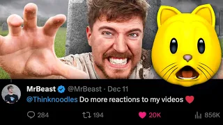 MR BEAST TOLD ME TO REACT TO MORE VIDEOS!