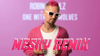 Robin Schulz - One with the Wolves (Mesky Remix)