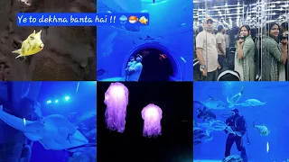 Visited SHARJAH AQUARIUM / MUSEUM | #funday #youtube #familyvlog #subscribe #trending