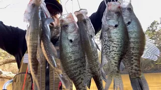 Stalking Spawning Crappie along the Edge of the Bank