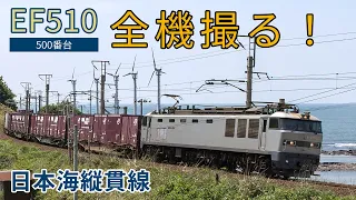 【ファン必見】EF510 500番台 全機撮る！日本海縦貫線　大館貨物多めです