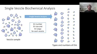 Single vesicle flow cytometry (vFC) of EV number, size and cargo by John Nolan