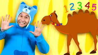 Alice The Camel | ToddlerX Kids Songs & Dance | 1-5 Count Learning