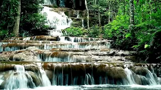 CALM WATERFALL SOUNDS ||  FOR STUDY || FOCUS || SLEEP