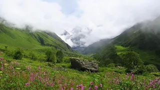 Valley of Flowers National Park | Wikipedia audio article