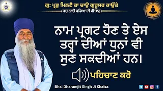 ਨਾਮ ਪ੍ਰਗਟ ਹੋਣ ਤੇ ਕਿਸ ਤਰਾਂ ਦੀਆ ਅਵਾਜਾਂ ਸੁਣਦੀਆਂ ਹਨ | Part 2 | ਘਨੇਰੇ ਸ਼ਬਦ | Anhad Naad Sound | Simran