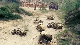 The infallible ambush of the national army was destroyed by a donkey cart,sparking a fierce battle.