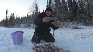 ПЕРВЫЙ ЛЕД.2021  2022.ЦЕЛЬ ДОСТИГНУТА.РЫБАЛКА В ГЛУХОЙ ТАЙГЕ.РЫБА В КАЖДОЙ ЛУНКЕ..