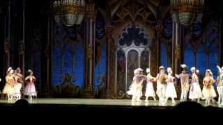«Лебединое озеро» в Одесском Национальном Академическом театре оперы и балета