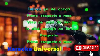 ALEXANDRU CIBOTARU Prima dragoste  Karaoke Universal Ro