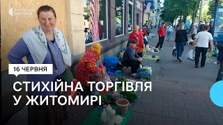 Муніципальна інспекція проводить рейди – бореться зі стихійниками у Житомирі