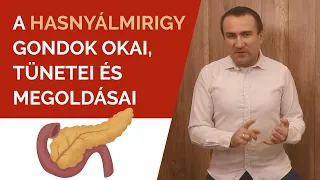 A Hasnyálmirigy problémák okai, tünetei, megoldásai