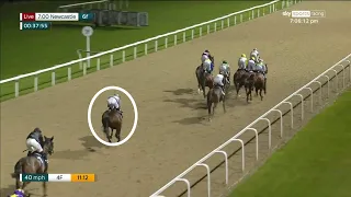 Horse and jockey don't give up and fly home to win at Newcastle!