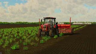 СВК Горбанi  посадка гороху Farming Simulator 22