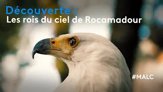 Découverte : les rois du ciel de Rocamadour