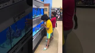 Ocean and His Little Sister are Watching Different Types Fishes at Aquarium🐠🐟🐡