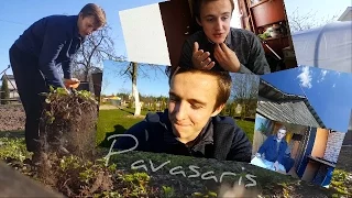 Pavasario Darbai Namie?! Braškių Sodinimas? Namų Darbai!? Q&A?! Meilė Sau!?