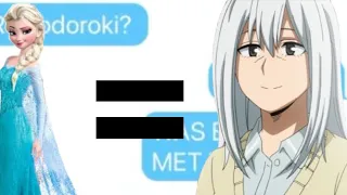 Is Rei Todoroki, Elsa?