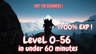 Leveling from 0-56 in under 60 minutes in Black Desert Online !