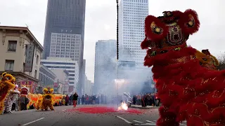 Chinese New Year 2020 San Francisco Lion Dance and Fireworks // San Francisco Chinatown USA