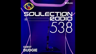 Soulection Radio Show #538 ft. Budgie (A Lover's Special)