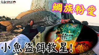 磯釣就怕小魚盜餌!這下有解啦~鯛族們粉愛吃耶#熱血大叔#玉襲#AGK名礁#台湾の釣り