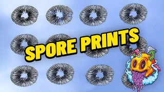 How To Make Spore Prints (My First Time)