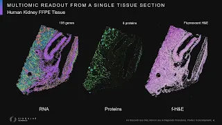 Singular Genomics AACR 2024 Presentation by Eli Glezer, PhD | In-Situ Sequencing