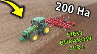 💎Uprawa i Siew Buraków Na Wielką Skalę💎 2x John Deere 💎 Horsch 💎 Grimme 💎